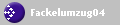 Fackelumzug04